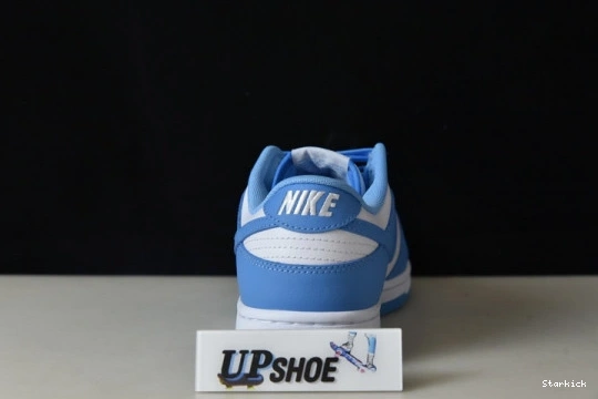 Nike Blue Dunk DD1391-102 University Low 0717